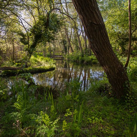 <strong>Le Frémur près de Ploubalay #2</strong> <small>© Michel FLEURY</small>