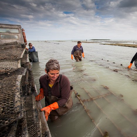 <strong>Ostériculteurs à Cancale</strong> <small>© Michel FLEURY</small>