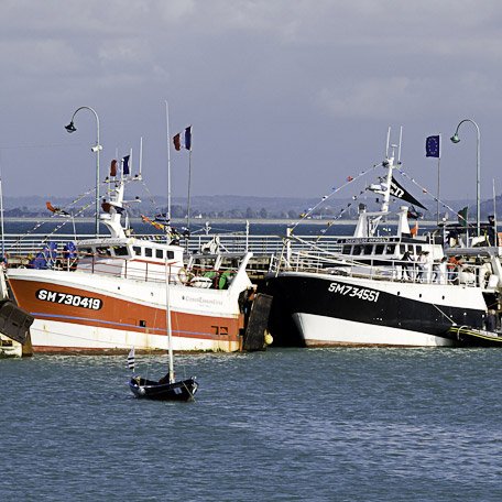 Au port de Cancale © Michel FLEURY <strong>Au port de Cancale</strong> <small>© Michel FLEURY</small>