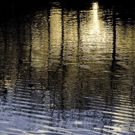 <strong>Taden, bords de Rance</strong> <small>© Michel FLEURY</small>