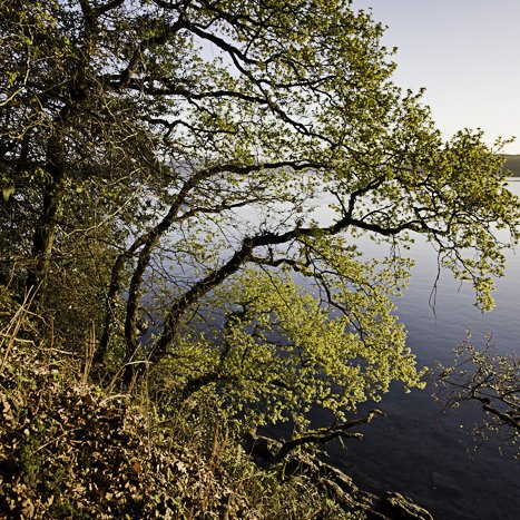 <strong>Anse du Montmarin</strong> <small>© Michel FLEURY</small>