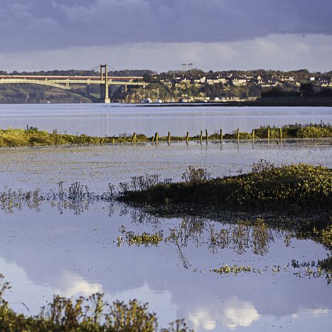 <strong>vers le pont Saint-Hubert</strong> <small>© Michel FLEURY</small>