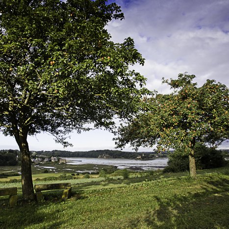 <strong>Pommiers et panorama sur la Rance</strong> <small>© Michel FLEURY</small>