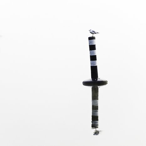 <strong>Gardienne des brumes -Taden</strong> <small>© Michel FLEURY</small>