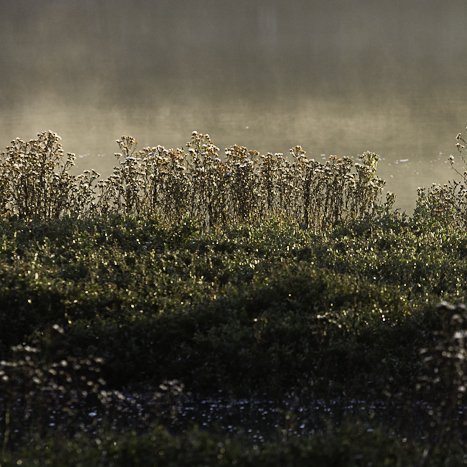 <strong>Ambiance d'automne #4</strong> <small>© Michel FLEURY</small>