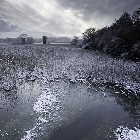 L'hiver sur l'estuaire de la Rance © Michel FLEURY <strong>L'hiver sur l'estuaire de la Rance</strong> <small>© Michel FLEURY</small>