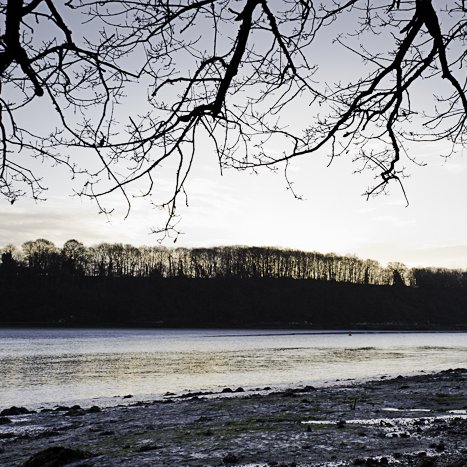 <strong>L'hiver en Rance #6</strong> <small>© Michel FLEURY</small>