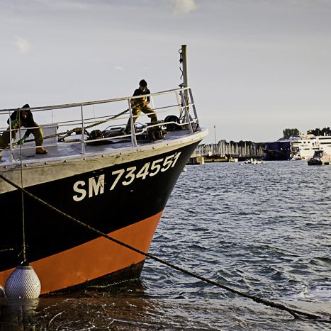 Saint-Malo, pêche à la coquille © Michel FLEURY <strong>Saint-Malo, pêche à la coquille</strong> <small>© Michel FLEURY</small>