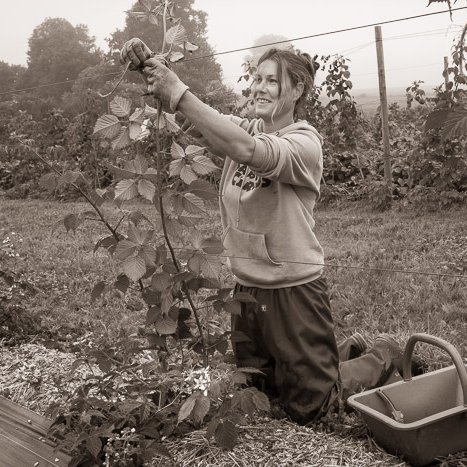 Sabrina, artiste confiturière à Evran © Michel FLEURY <strong>Sabrina, artiste confiturière à Evran</strong> <small>© Michel FLEURY</small>