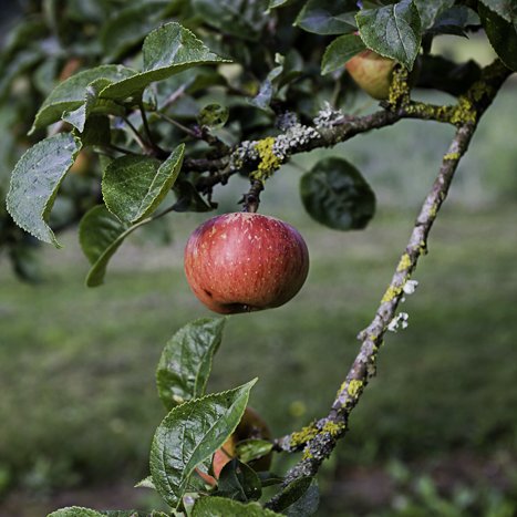 <strong>Edit 7009</strong> <small>© Michel FLEURY</small>