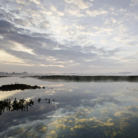 <strong>L'île des brumes</strong> <small>© Michel FLEURY</small>
