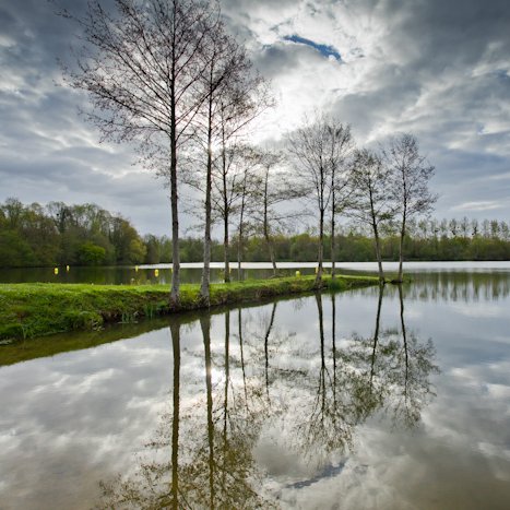 Saint-André-des-Eaux #1 © Michel FLEURY <strong>Saint-André-des-Eaux #1</strong> <small>© Michel FLEURY</small>