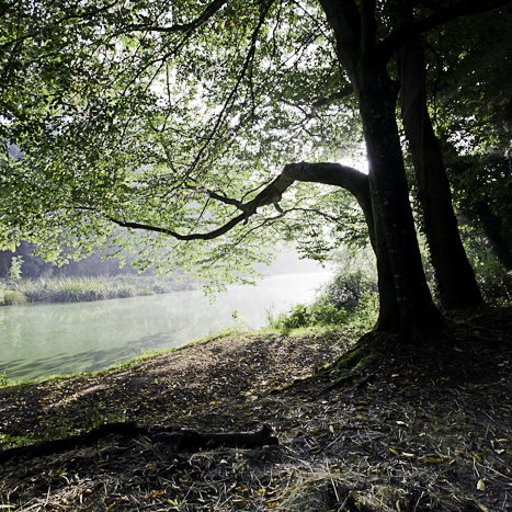 Méandre de la vieille rivière © Michel FLEURY <strong>Méandre de la vieille rivière </strong> <small>© Michel FLEURY</small>