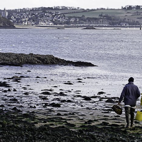 <strong>Devant Saint-Suliac</strong> <small>© Michel FLEURY</small>