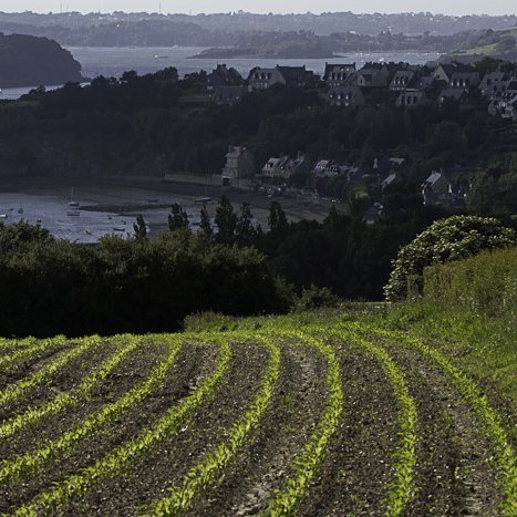 <strong>Vue sur Saint-Suliac</strong> <small>© Michel FLEURY</small>