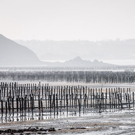 <strong>Estuaire de l'Arguenon #5</strong> <small>© Michel FLEURY</small>