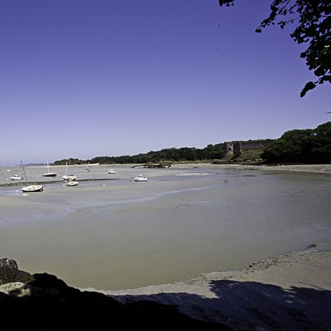 <strong>Estuaire de l'Arguenon #1</strong> <small>© Michel FLEURY</small>