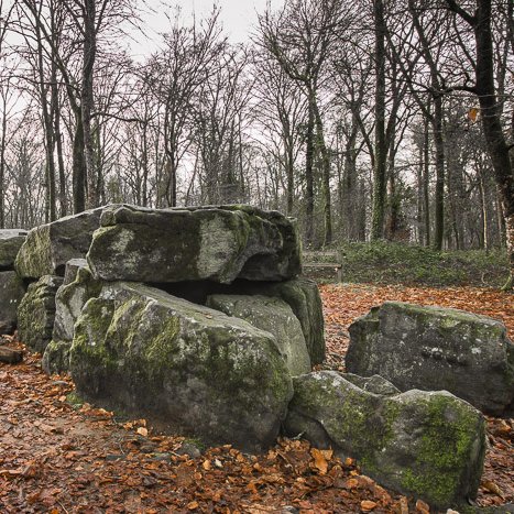 <strong>Tressé, la Maison des fées</strong> <small>© Michel FLEURY</small>