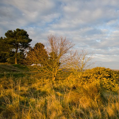 Grève de la Ville-gers © Michel FLEURY <strong>Grève de la Ville-gers</strong> <small>© Michel FLEURY</small>