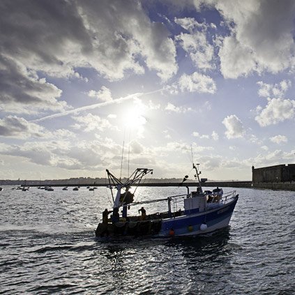 Saint-Malo, pêche à la coquille © Michel FLEURY <strong>Saint-Malo, pêche à la coquille </strong> <small>© Michel FLEURY</small>