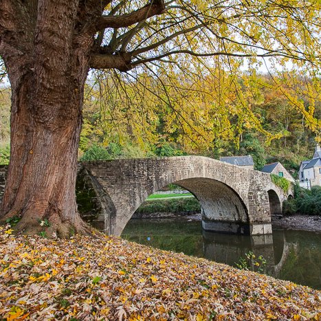 <strong>Vue de Léhon l'automne</strong> <small>© Michel FLEURY</small>