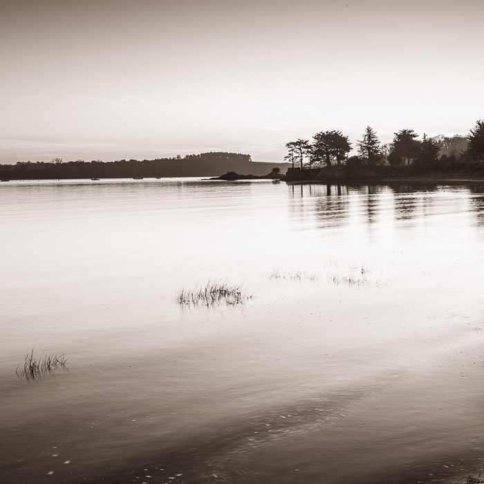 <strong>Comme une île</strong> • Paysage des bord de Rance en monochrome à La Richardais <small>© Michel FLEURY</small>